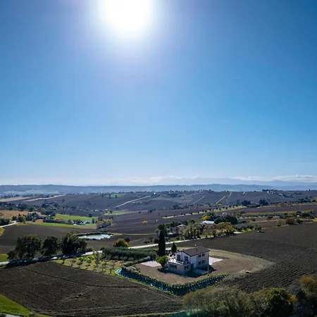 Il Grande Cipresso